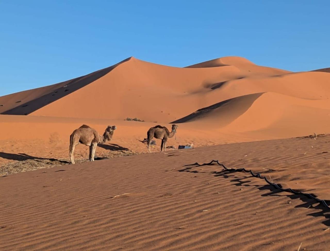 Sania Luxury Camp 5* Merzouga